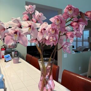 Meet your Posher, Cosette